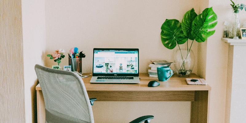 A tidy wooden desk with a laptop displaying a proactive job website, surrounded by a mouse, a green mug, a stack of books, a plant with large leaves, colorful pens in a holder, and a framed picture. An ergonomic chair is pushed under the desk.